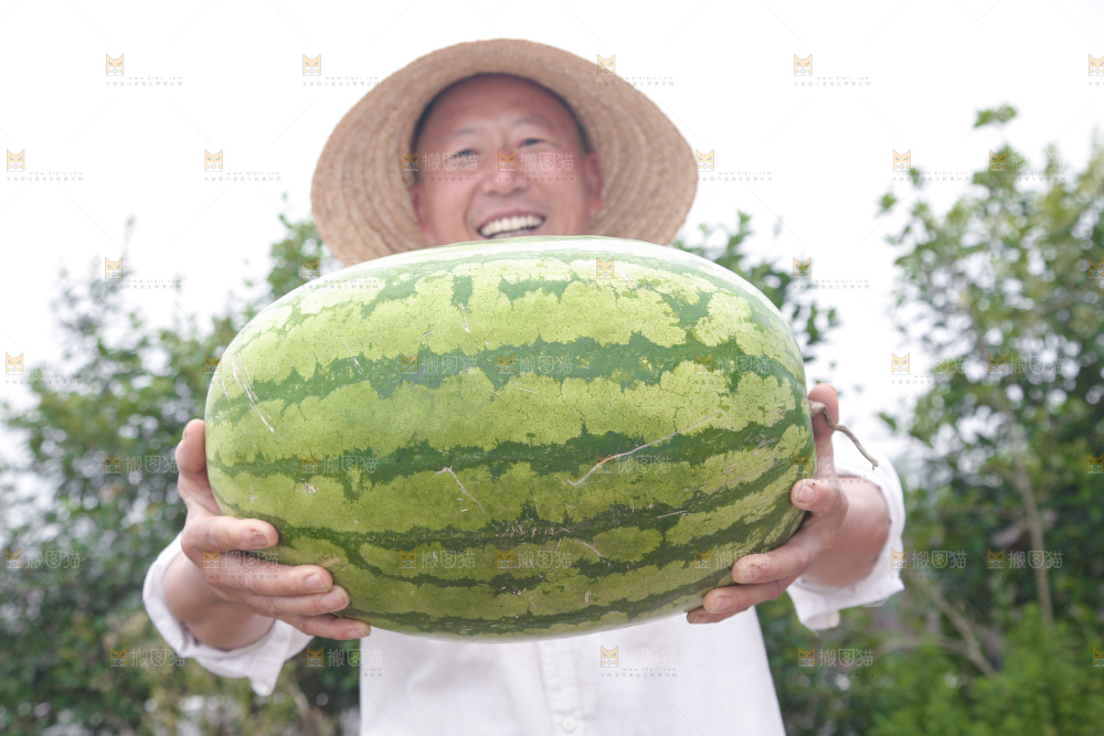 石头瓜