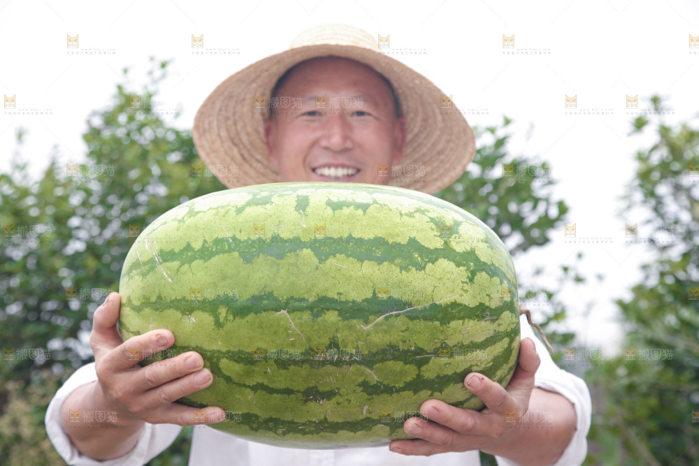 石头瓜