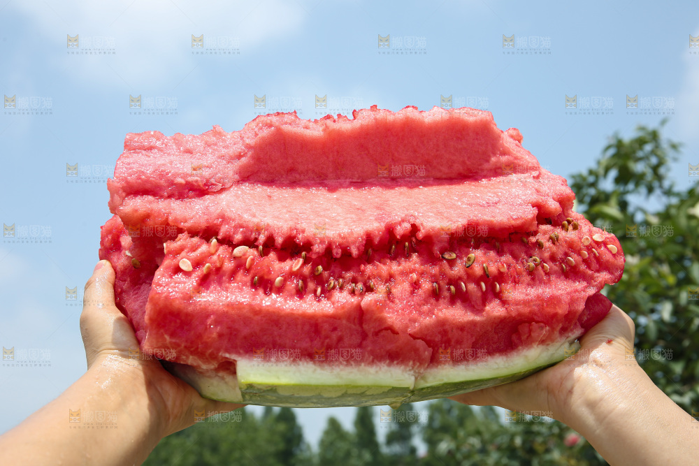 石头瓜