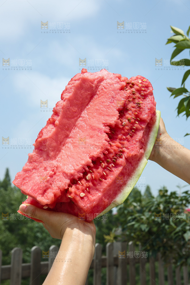 石头瓜