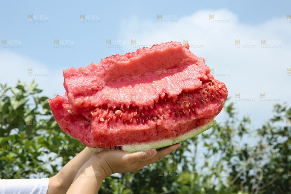 石头瓜
