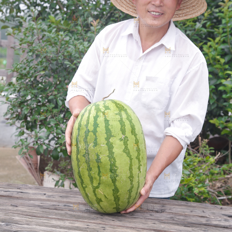 石头瓜