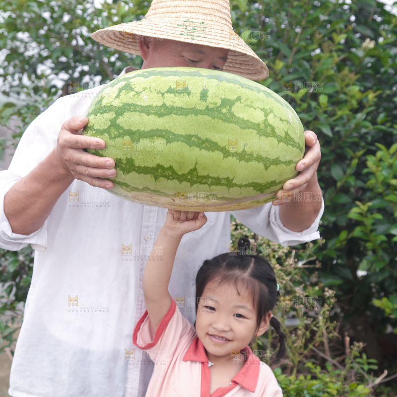 石头瓜