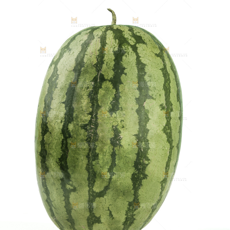 石头瓜