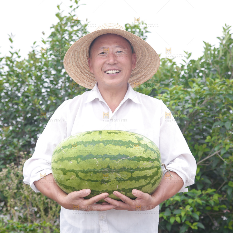 石头瓜