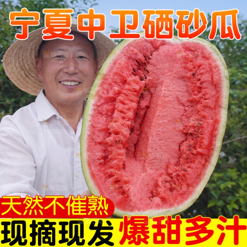 石头瓜主图