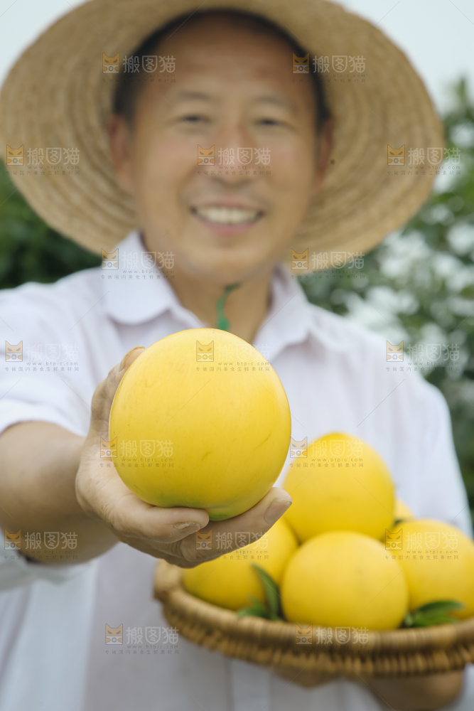 黄晶果