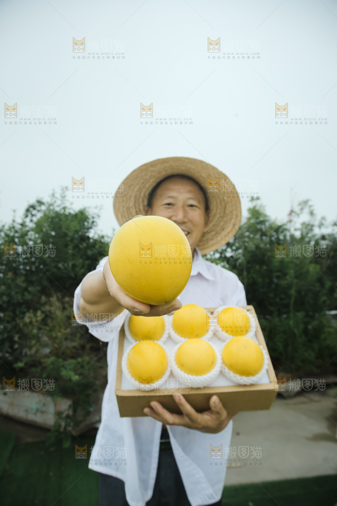 黄晶果