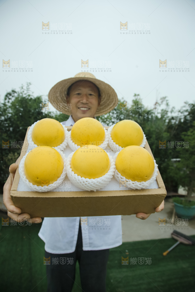 黄晶果