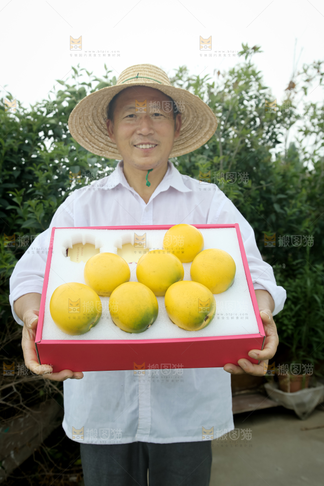 黄晶果