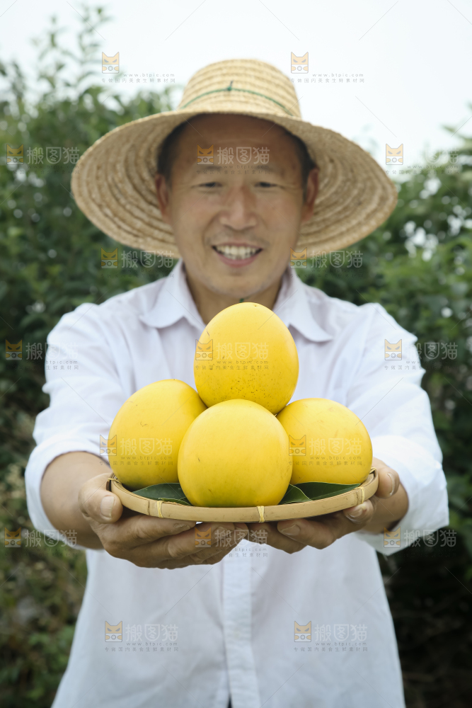 黄晶果