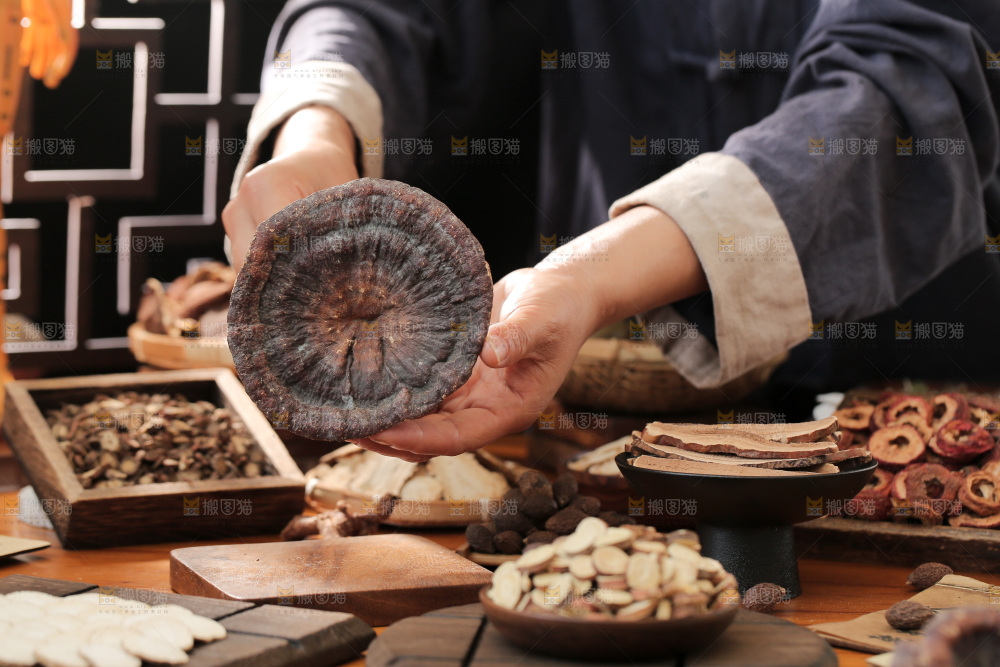 灵芝