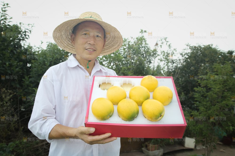 黄晶果