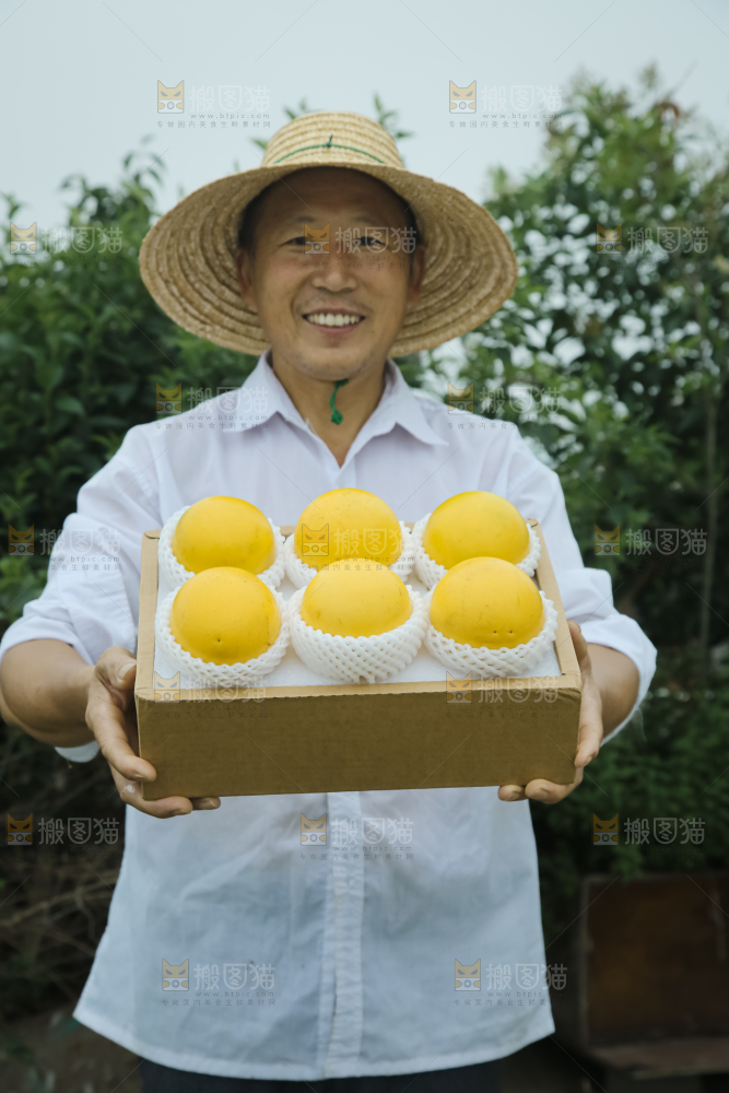 黄晶果