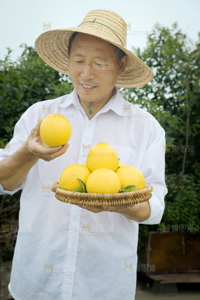 黄晶果