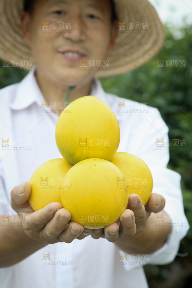 黄晶果