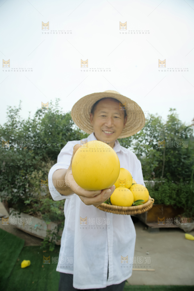 黄晶果