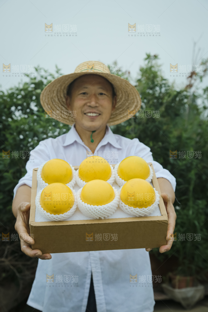 黄晶果