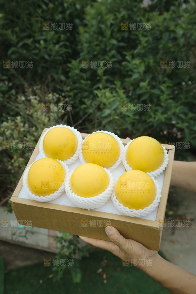 黄晶果