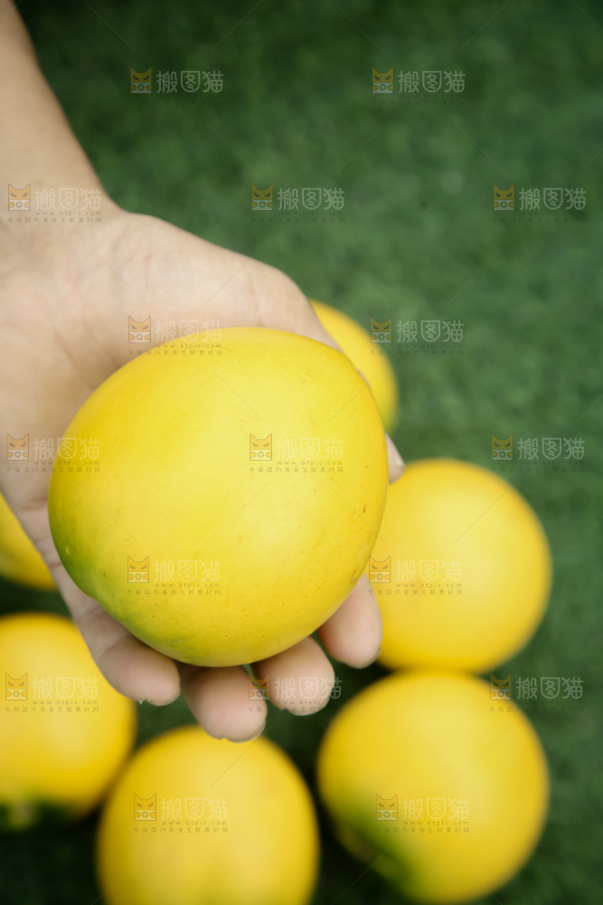 黄晶果