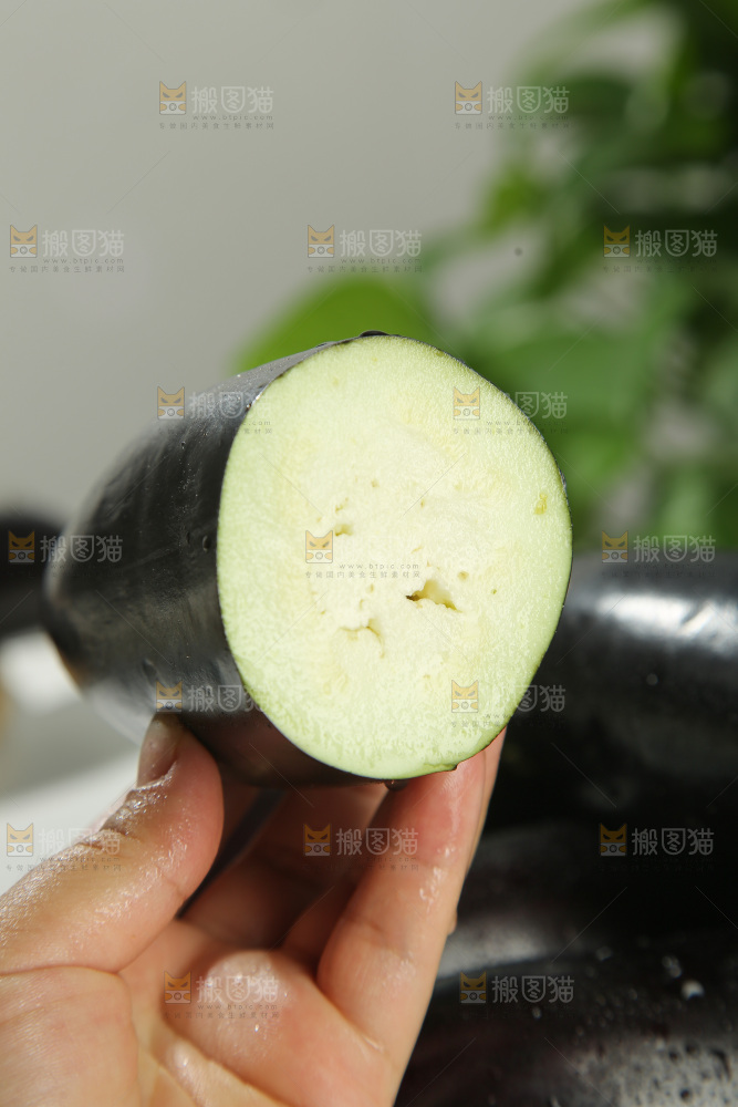 紫茄子