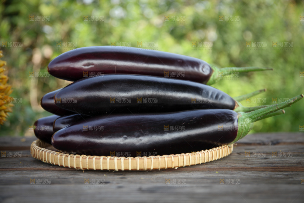 紫茄子