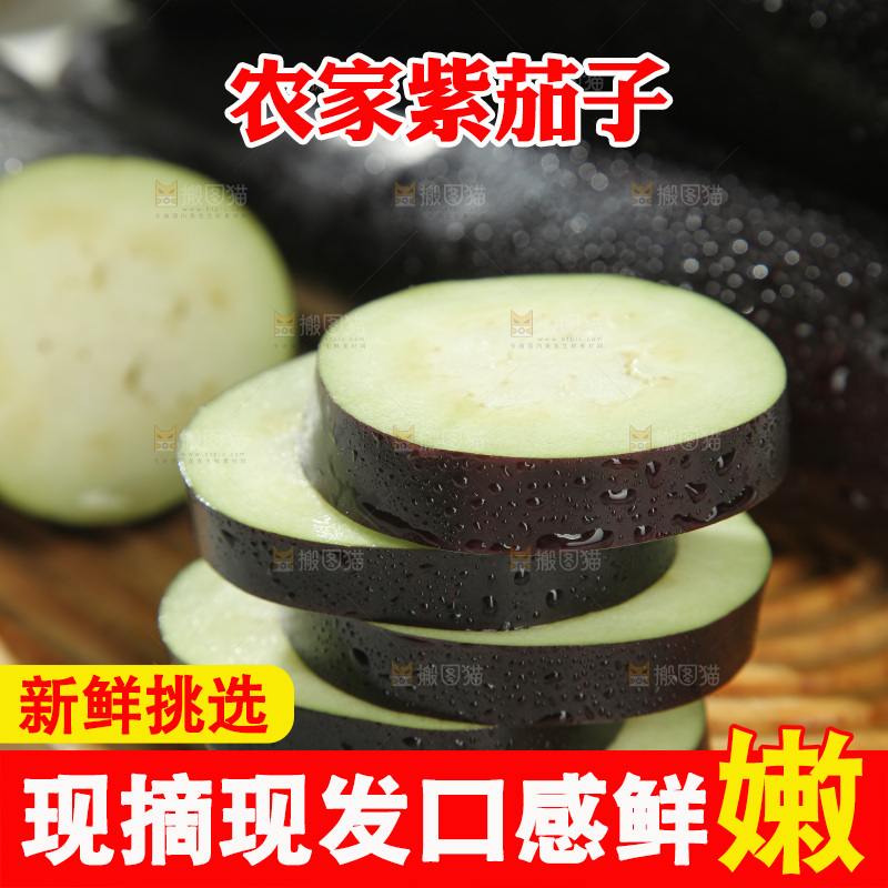 紫茄子