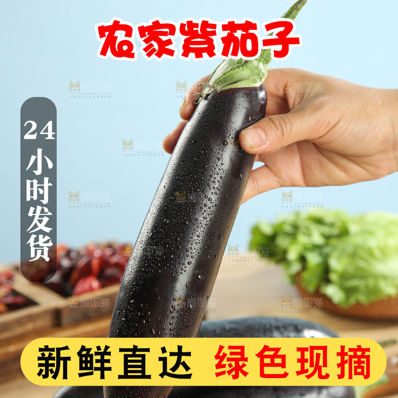 紫茄子