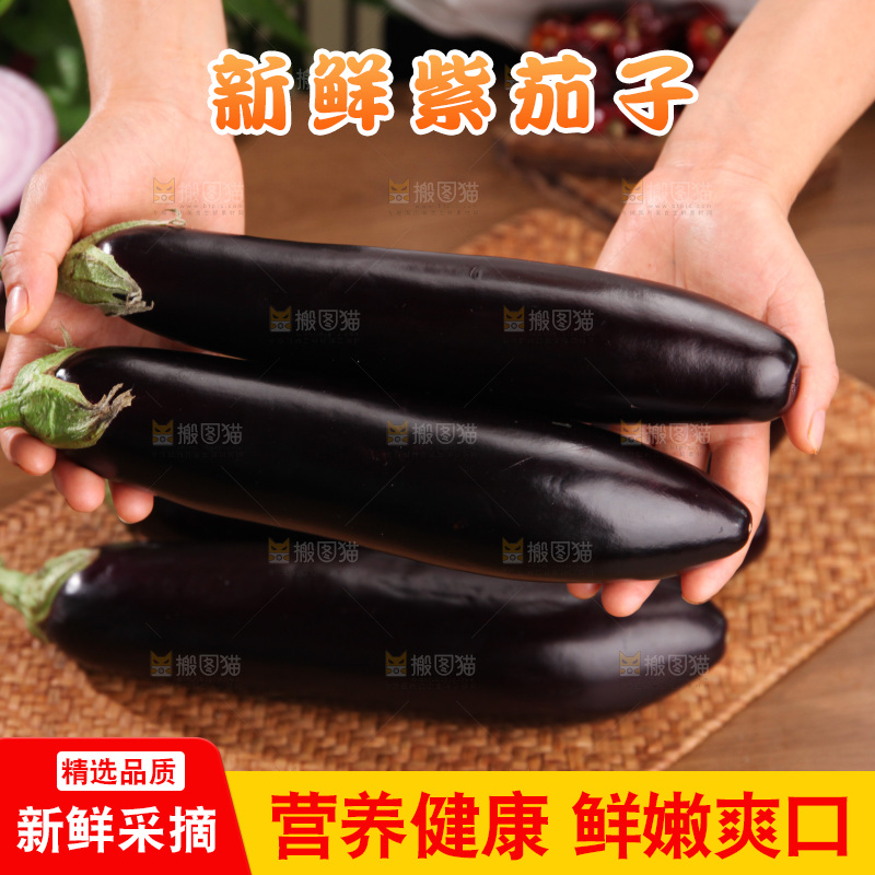 紫茄子