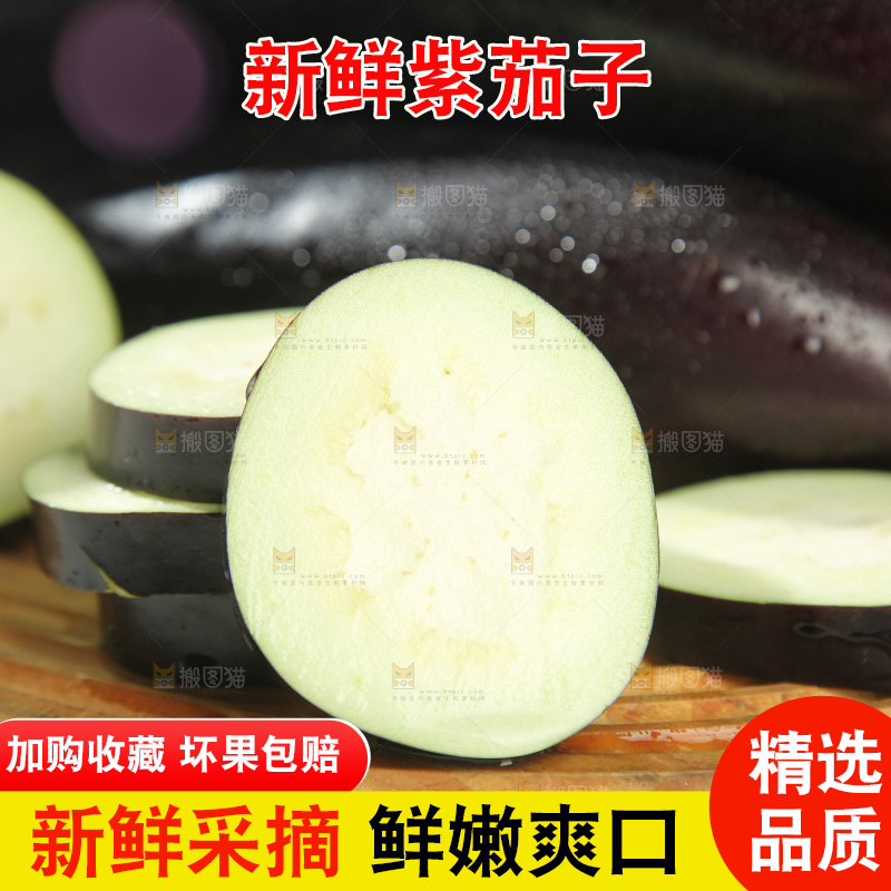紫茄子