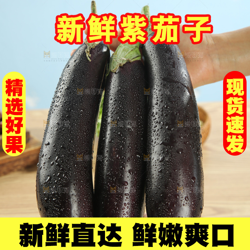 紫茄子