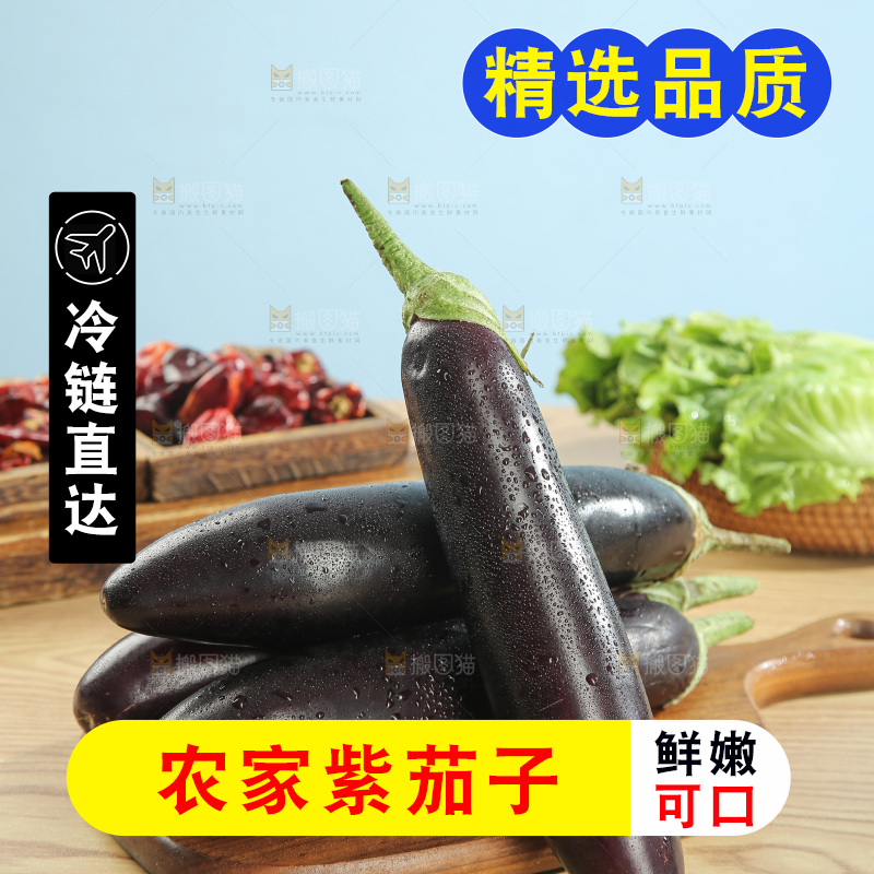 紫茄子
