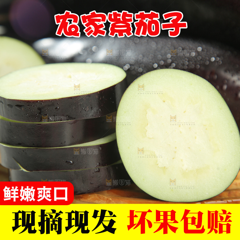 紫茄子
