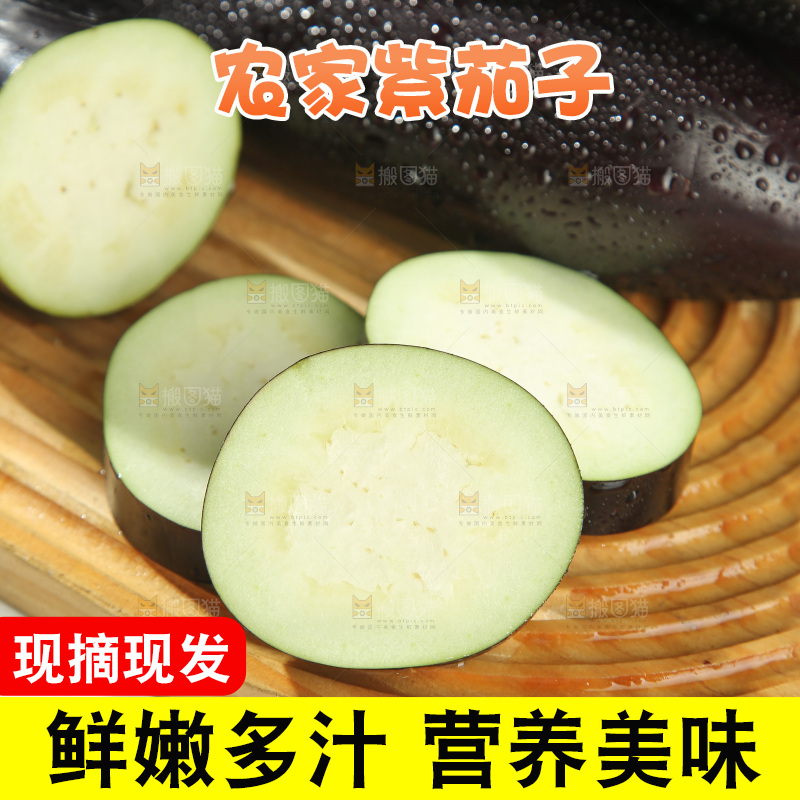 紫茄子