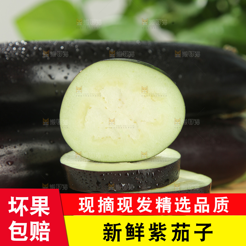 紫茄子