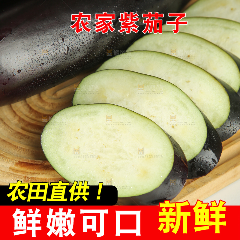 紫茄子