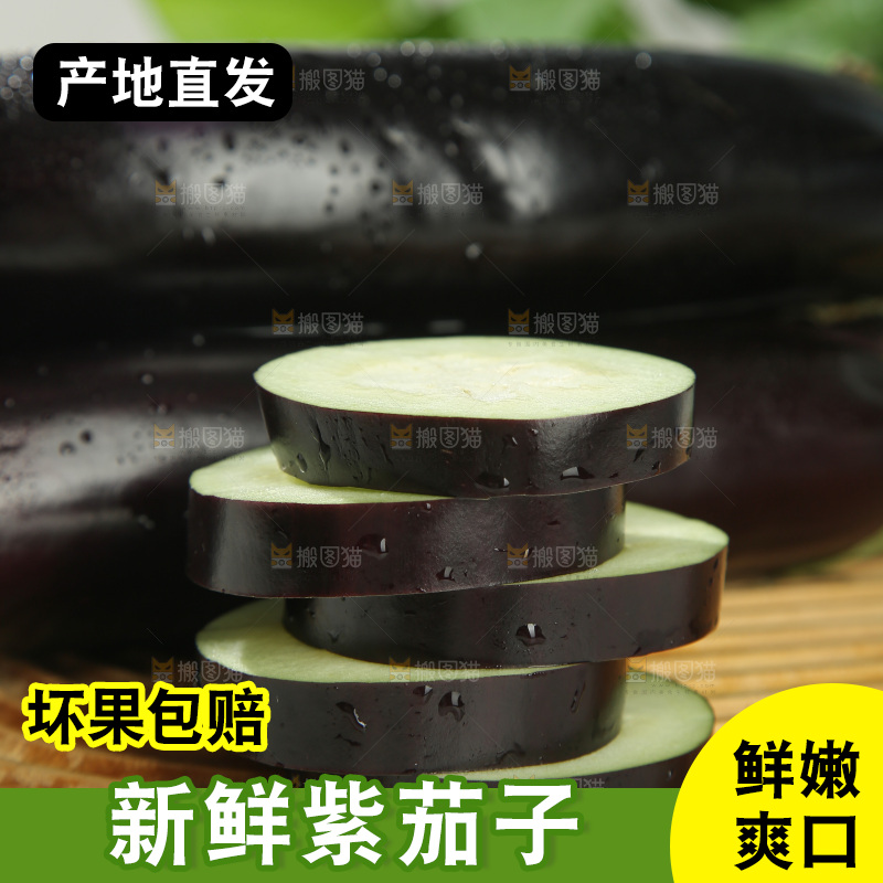 紫茄子