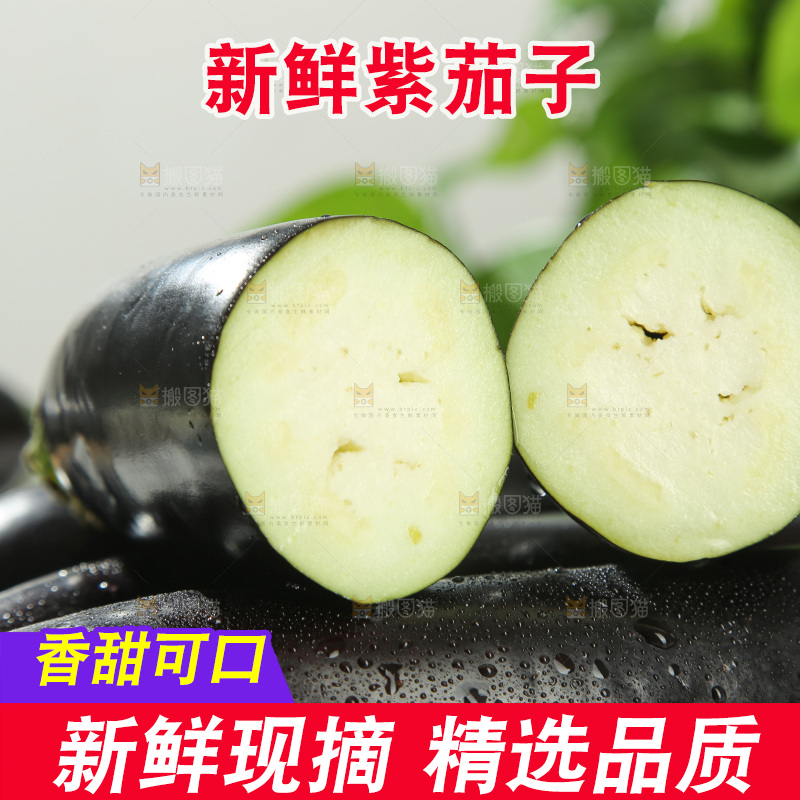紫茄子