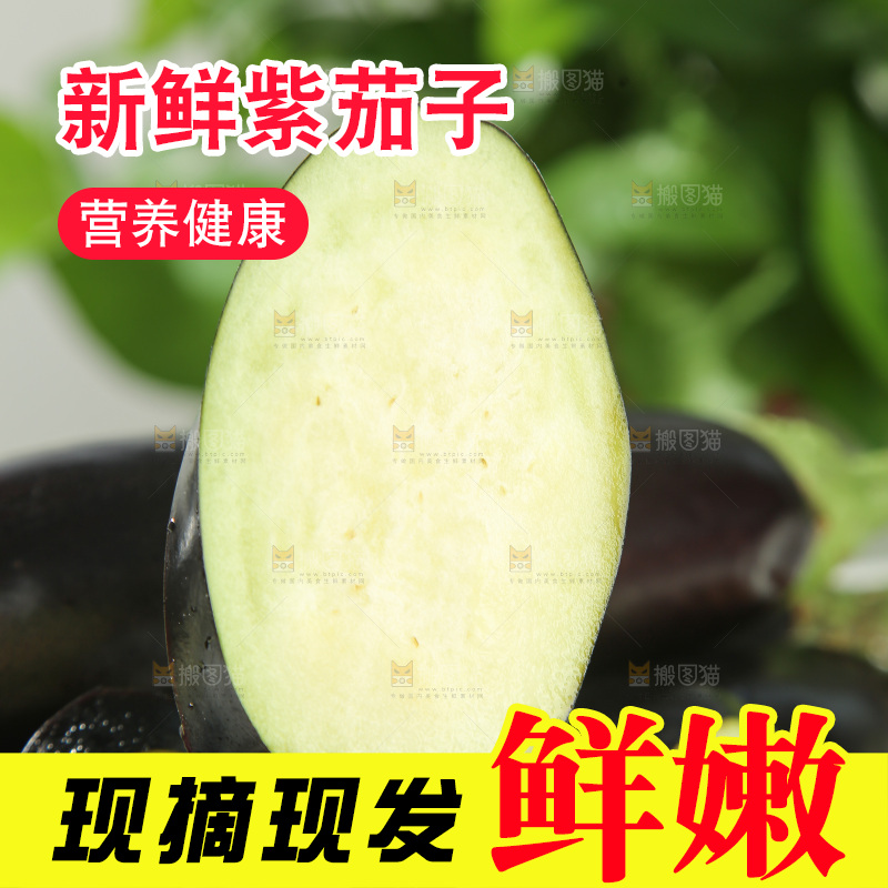 紫茄子