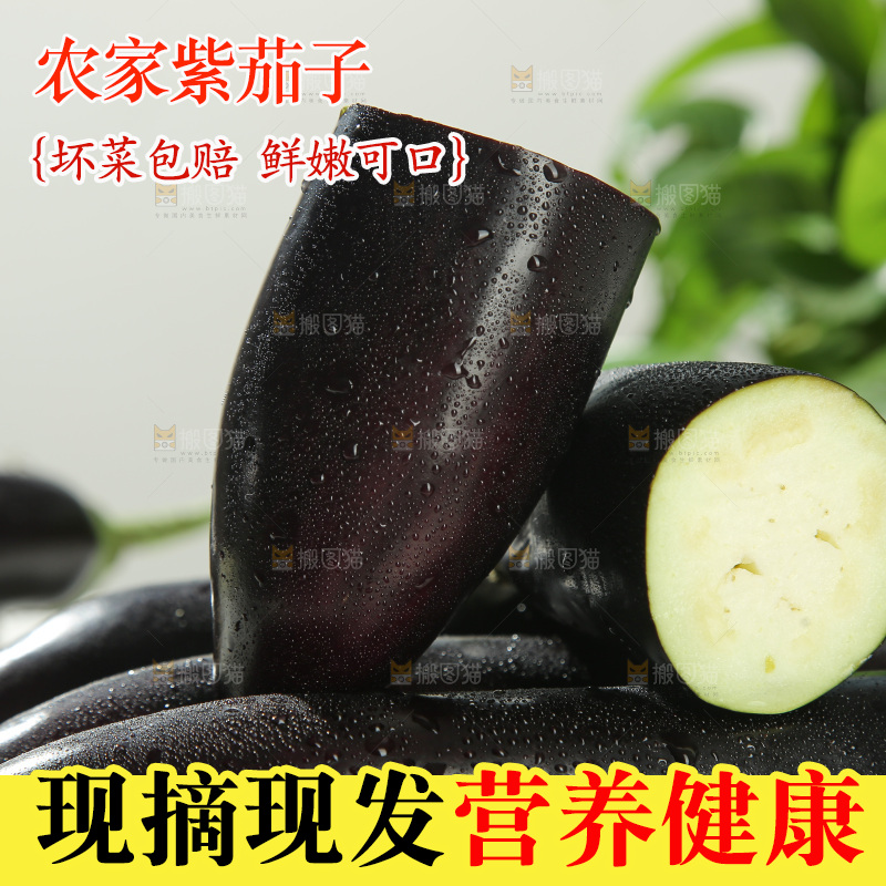紫茄子