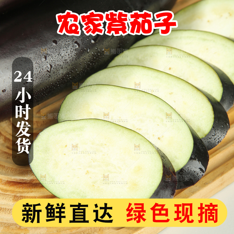 紫茄子