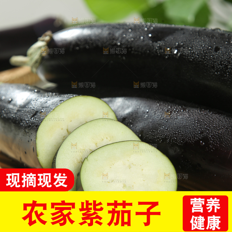 紫茄子