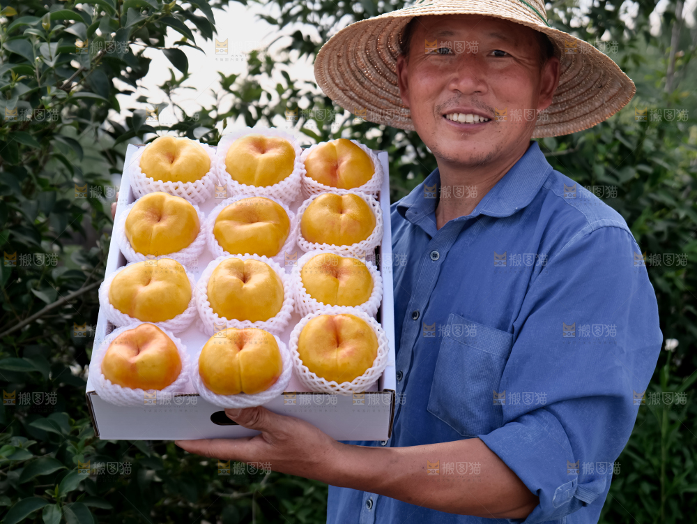 黄油蟠桃