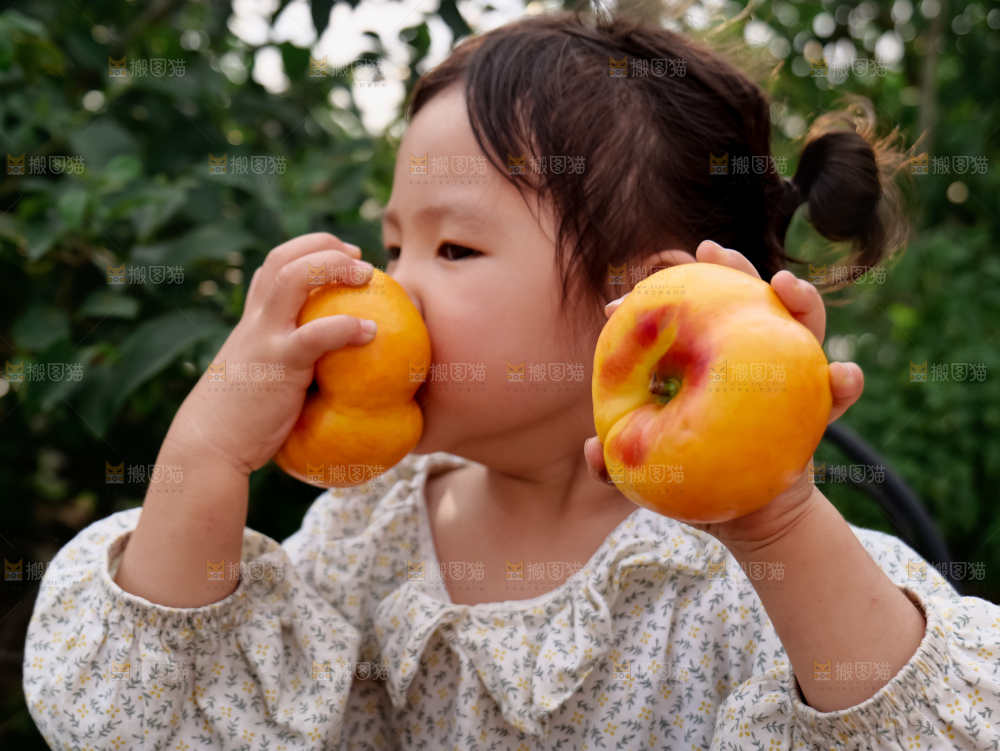 黄油蟠桃