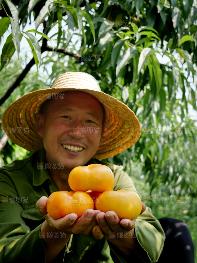 黄油蟠桃