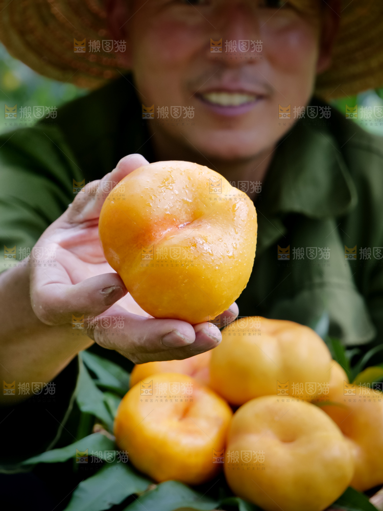 黄油蟠桃