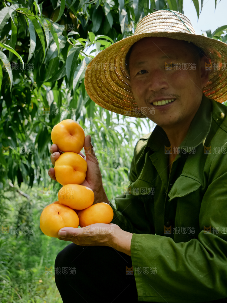 黄油蟠桃