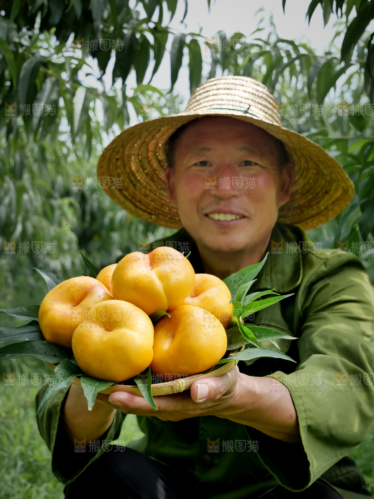 黄油蟠桃