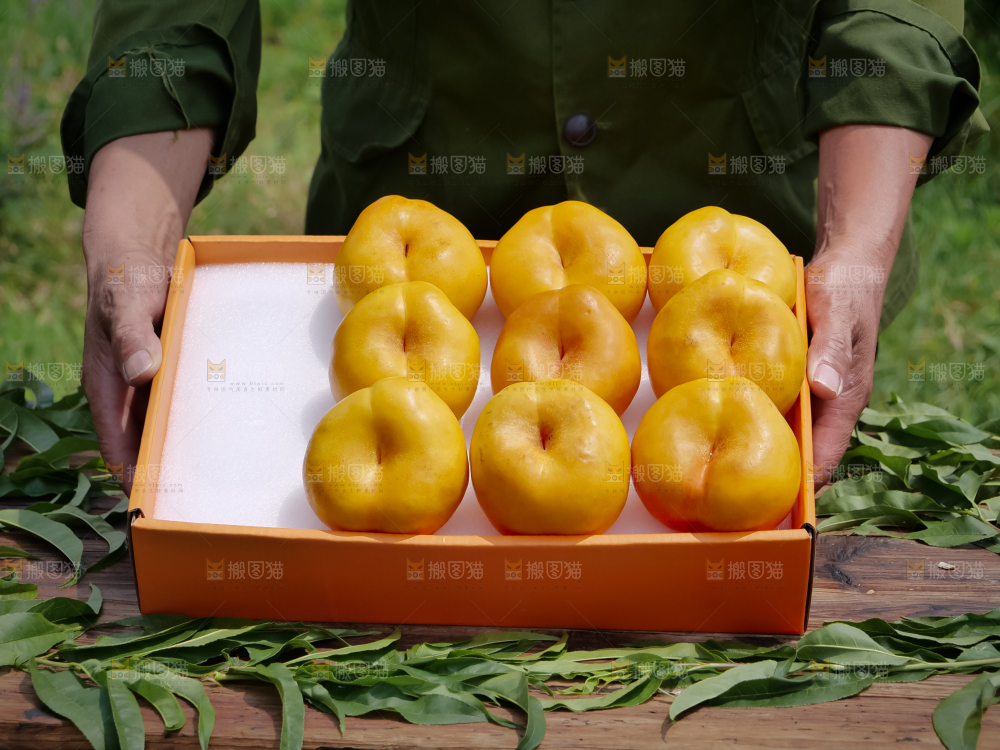 黄油蟠桃