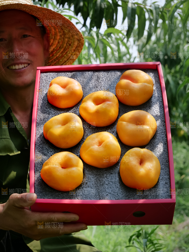 黄油蟠桃